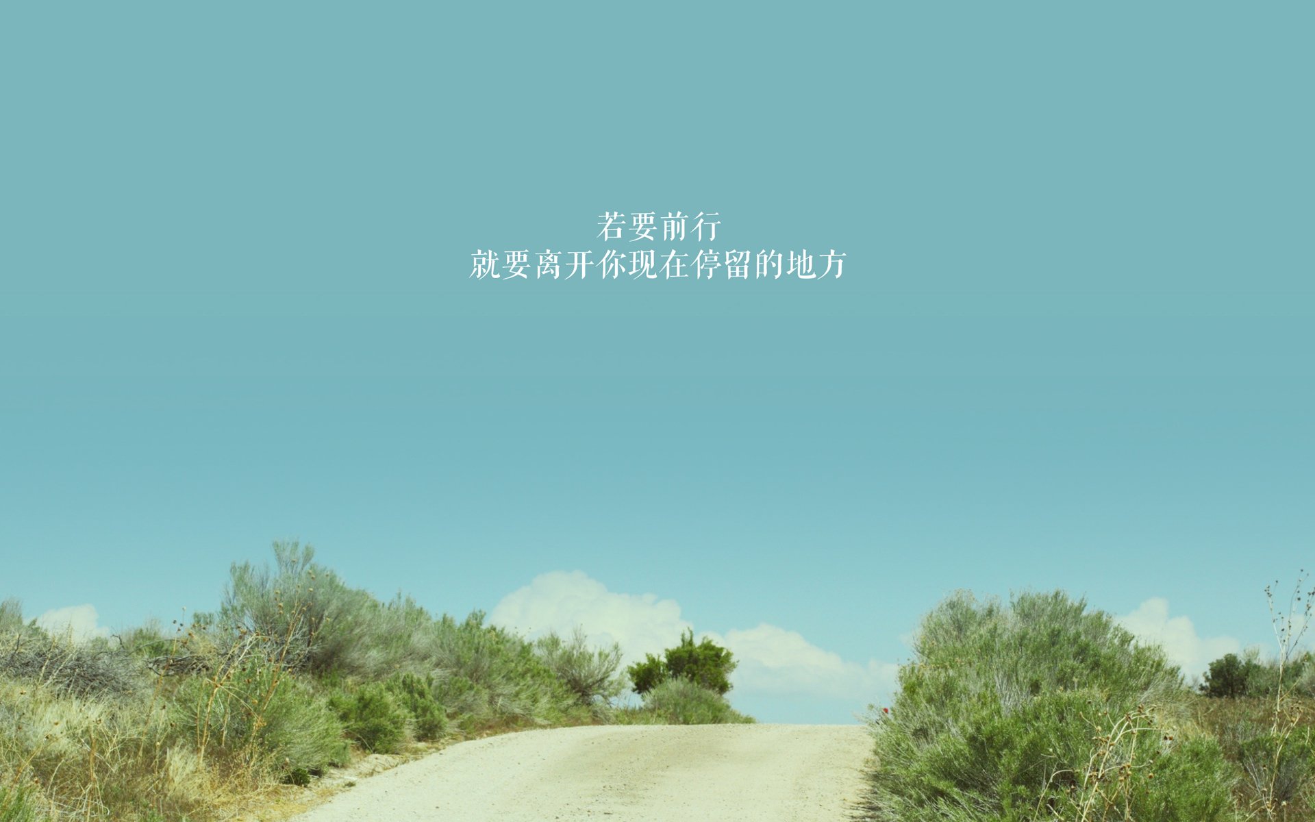 kaiyun体育综合-法甲球队在欧洲赛场表现突出，法甲 球队