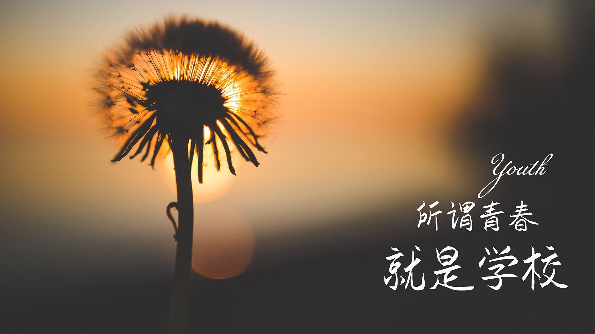 开云平台-欧锦赛资格赛四强争夺，绝对实力不容小觑，欧锦赛四强对阵
