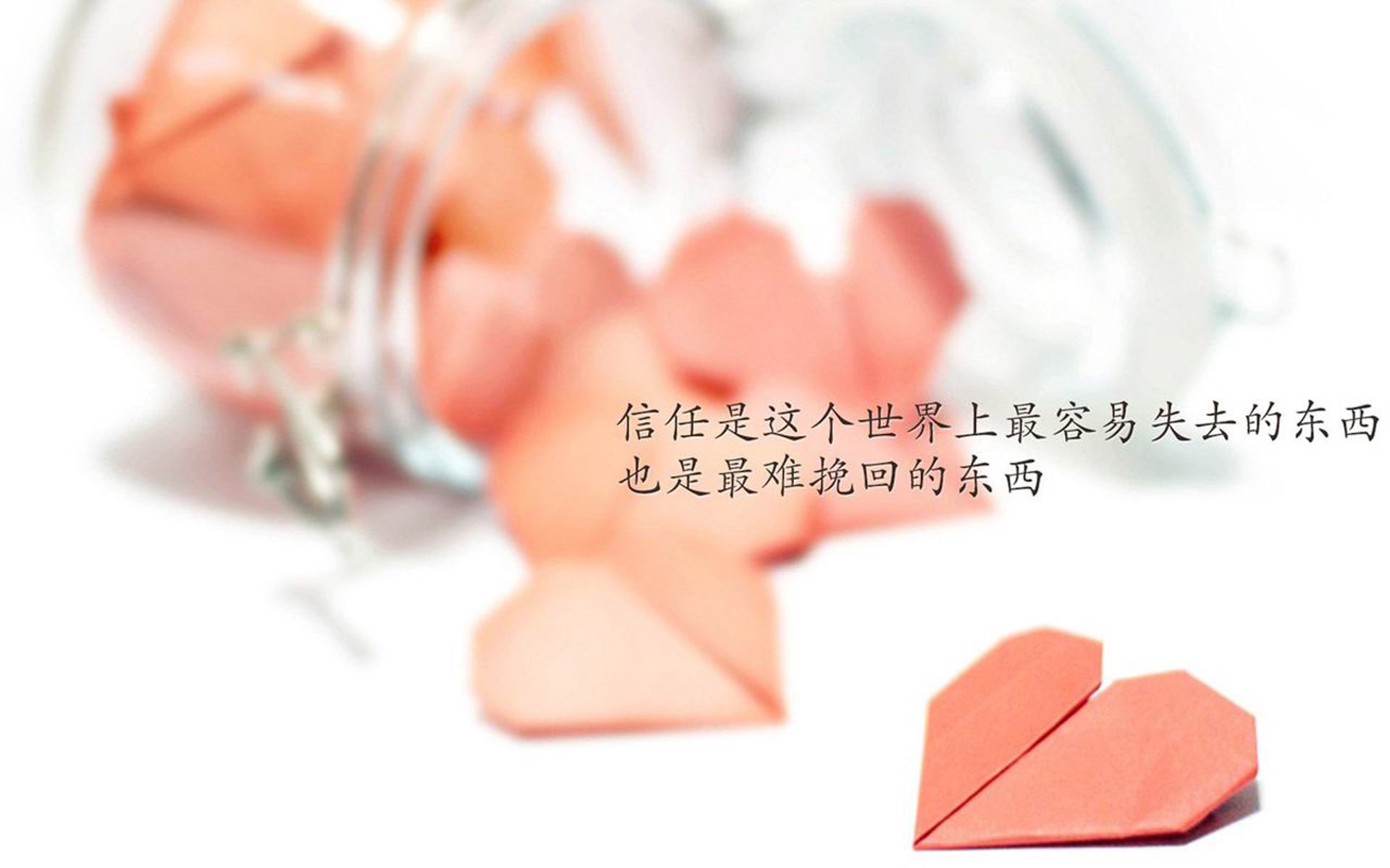 kaiyun开云·官方网站-日本马术队在2024年亚洲马术锦标赛中获得团体盛装舞步金牌，表现优异。