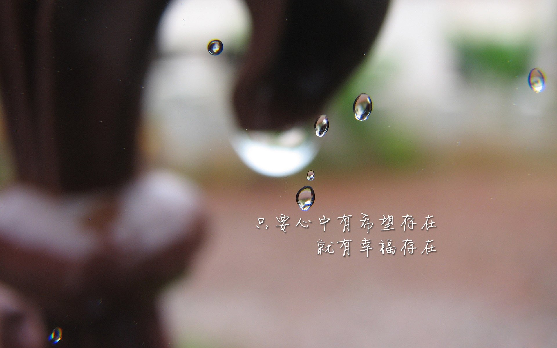 Kaiyun官方登录入口-女子100自赛澳洲选手包揽前列，澳洲百米记录