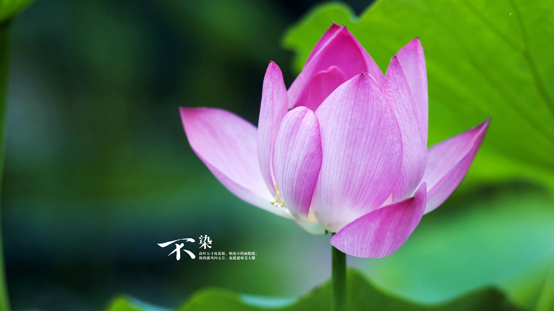 开云·Kaiyun网页版-巴西青训体系进一步完善，培养世界级足球精英