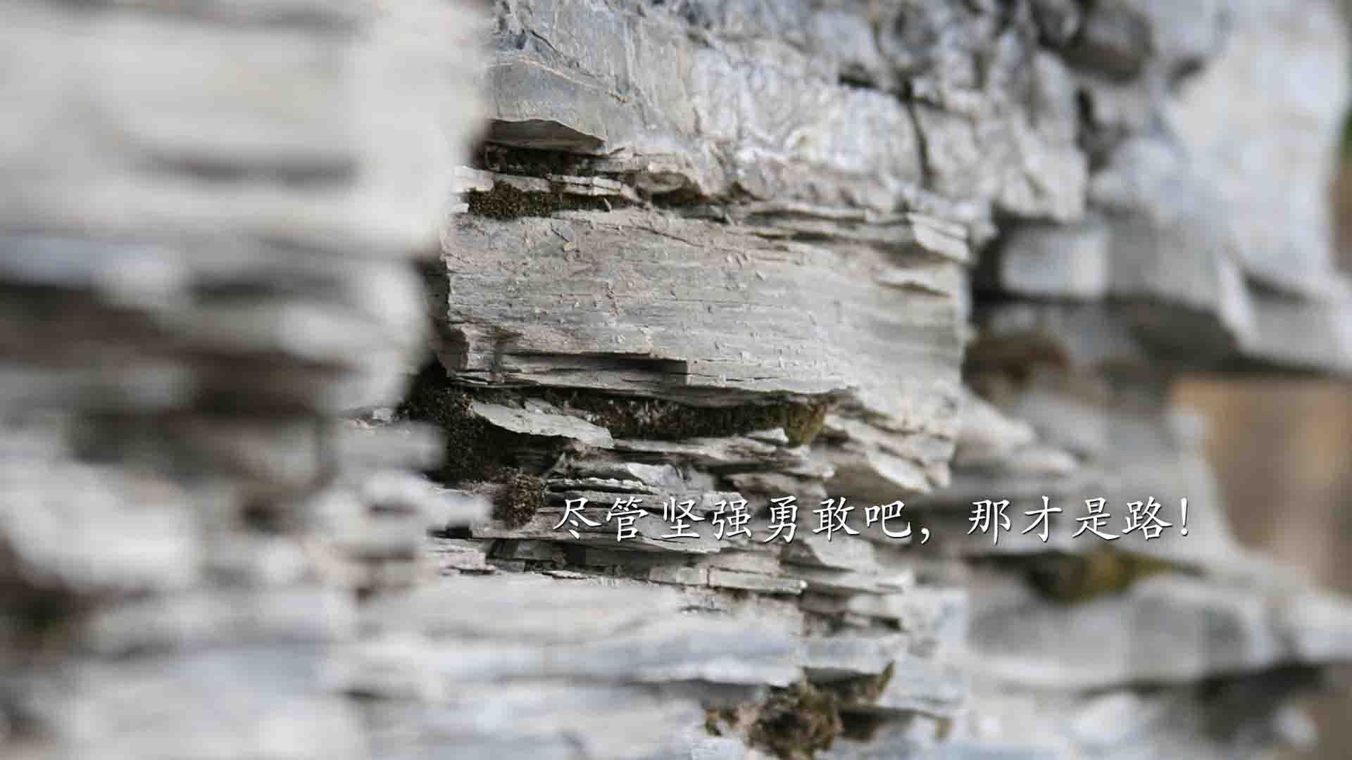 开云官网APP下载-法甲星光璀璨：个人亮相撼动全场，法甲十大新星