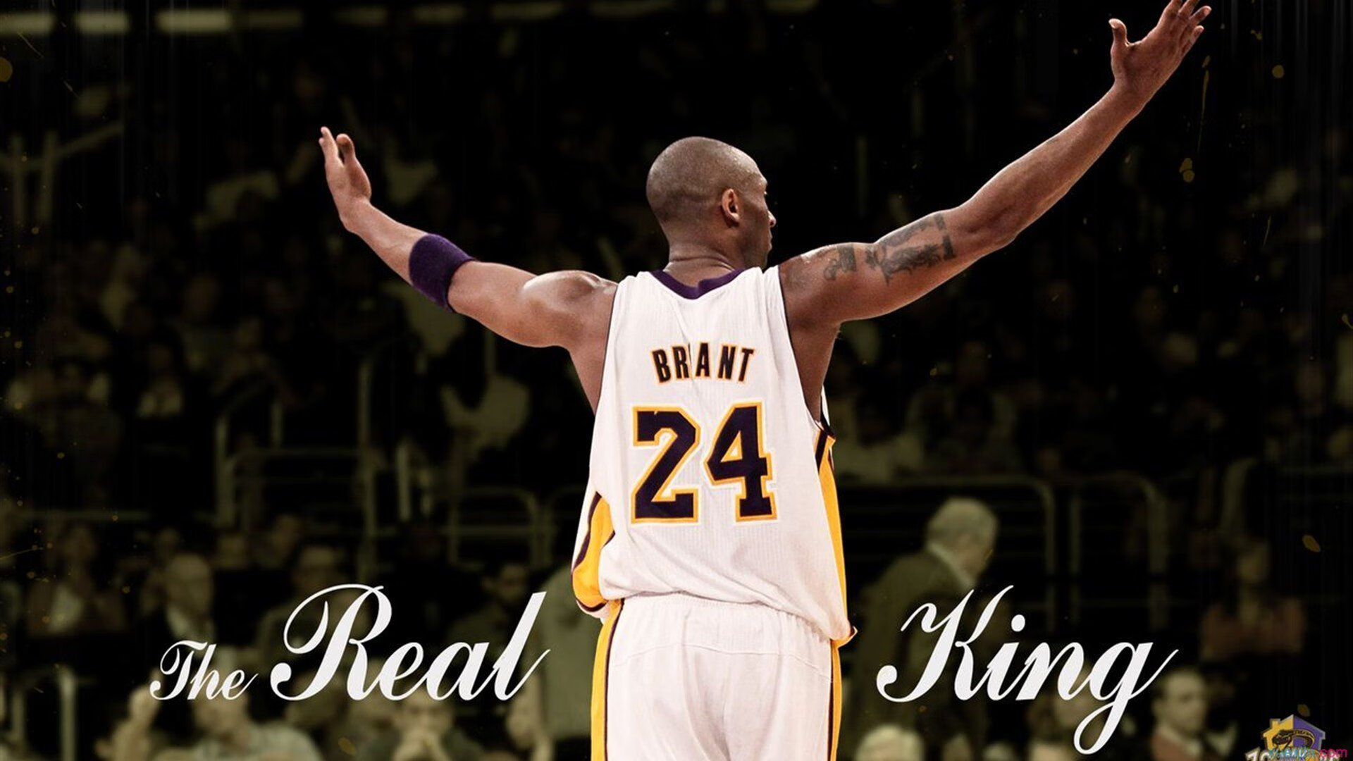 _掘金核心稳定发挥，士气高涨_，掘金龙头核心价值