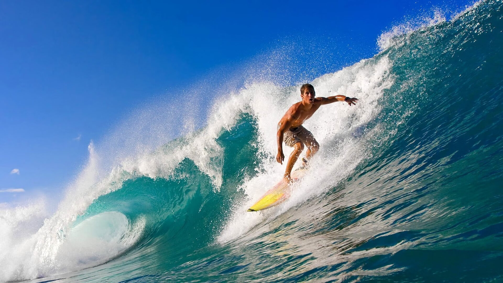 城市赛道的设计与特色,城市赛道的设计与特色是什么